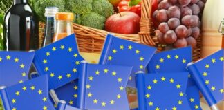 Україна увірвалася до трійки лідерів постачальників продовольства до Євросоюзу - today.ua
