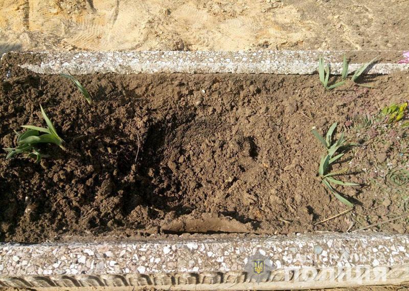У Донецькій області на кладовищі підірвалася жінка, яка доглядала могилу 
