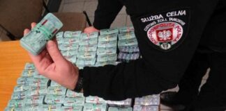 Украинца поймали на контрабанде 12 тысяч таблеток “Виагры“ - today.ua