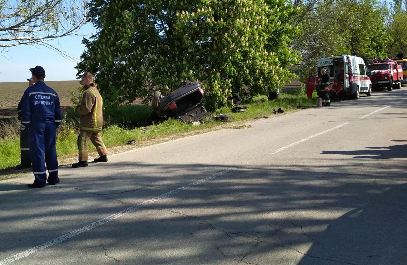 Под Запорожьем в ДТП погибли двое мужчин: опубликованы фото - today.ua