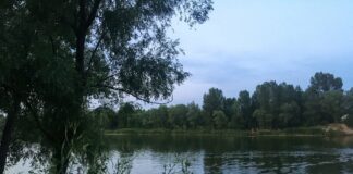 У Києві чоловік потонув в озері у свій 31-й день народження - today.ua