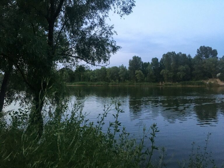 У Києві чоловік потонув в озері у свій 31-й день народження - today.ua