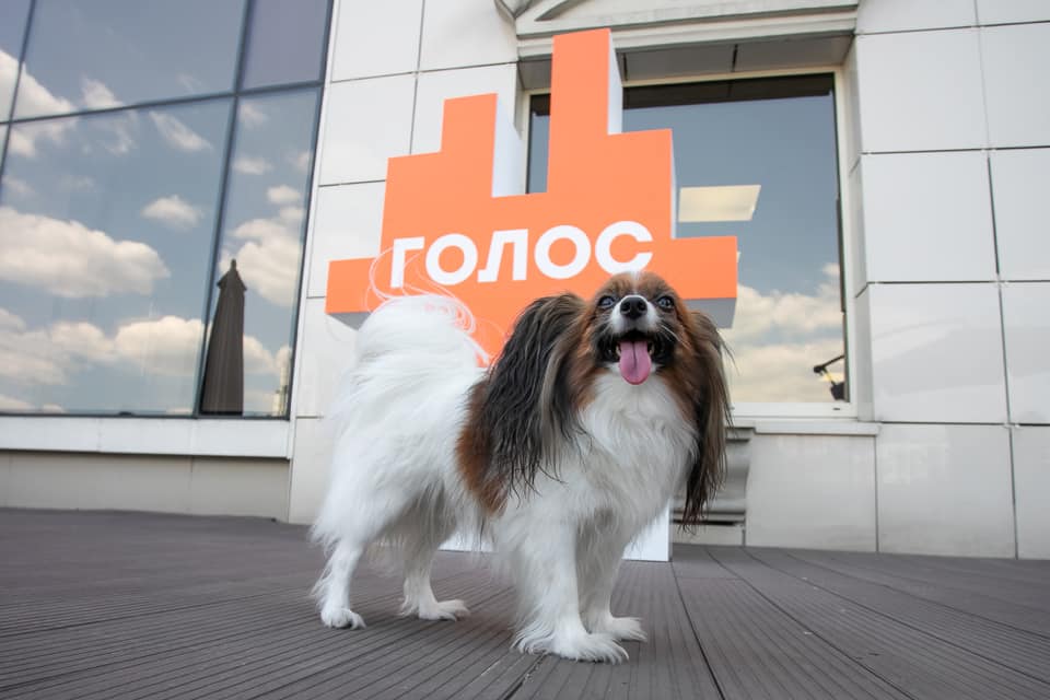 Вакарчук патентує свій "Голос"