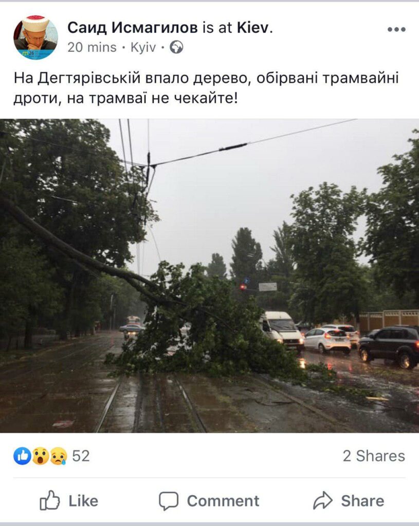 Киев накрыл ливень с грозой: повалены деревья и затоплены улицы