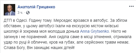 Младшая дочь Анатолия Гриценко попала в ДТП