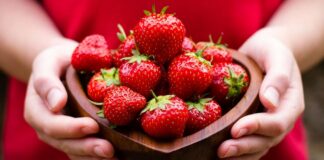 Чим підживити полуницю навесні, щоб зібрати щедрий урожай: рецепт натурального та ефективного засобу - today.ua
