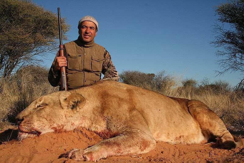 Насолоджується смертю: кандидат від партії Медведчука похвалився вбитими левами, оленями і страусами