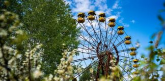 Чорнобиль відроджується: у мережі з'явилися вражаючі знімки природи у Зоні відчуження  - today.ua