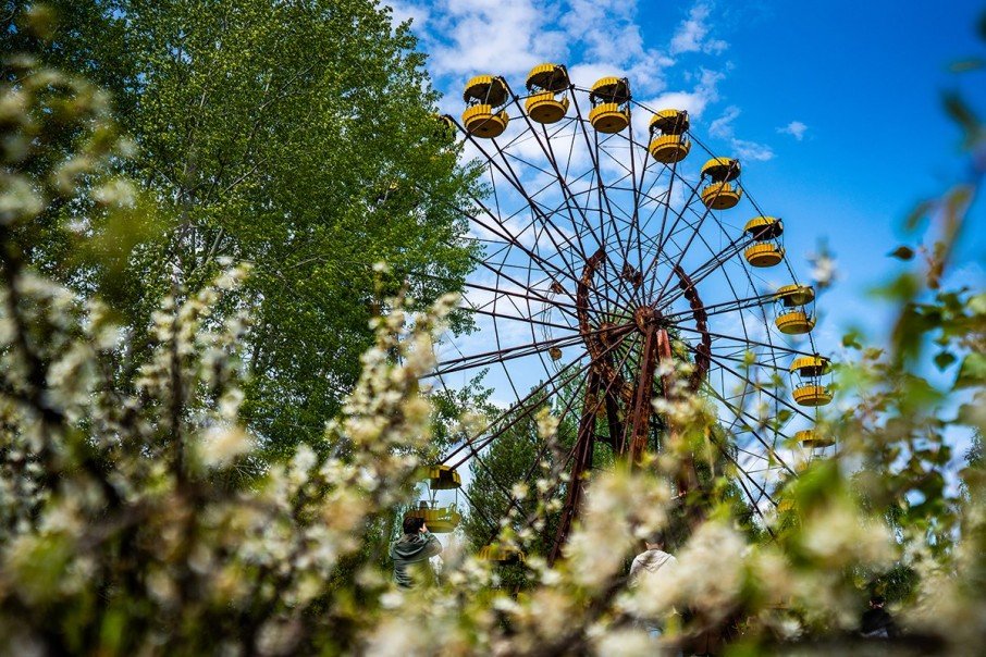 Чернобыль возрождается: в сети появились впечатляющие снимки природы в Зоне отчуждения