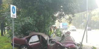 “Я умею ездить, смотри как!“: еще одна “Зайцева“ за рулем Mercedes-Benz влетела в дерево и погибла - today.ua