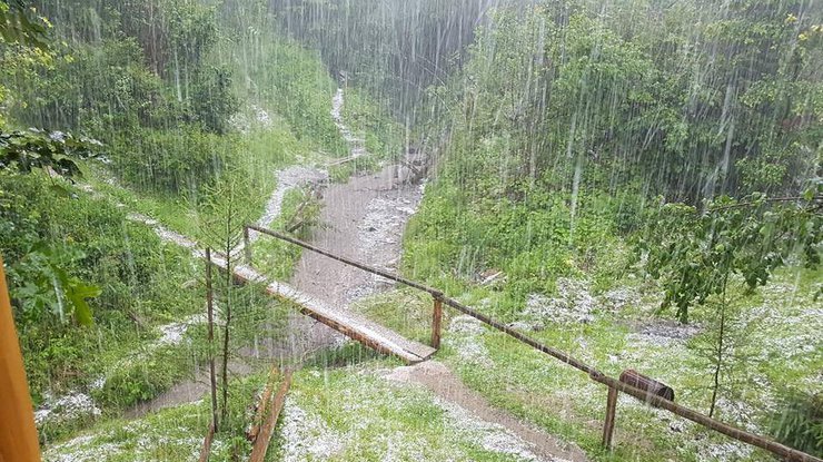 У розпал літа в Карпатах випав сніг  - today.ua