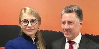 “Вместе мы сможем преодолеть российскую агрессию“: Тимошенко срочно встретилась с Волкером - today.ua