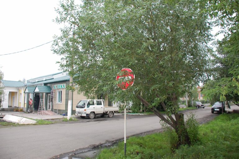 Автомобилистам на заметку: дорожный знак может стать причиной отмены штрафа - today.ua