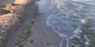 “Не вода, а букет хвороб“: на курорті під Запоріжжям бази відпочинку зливають нечистоти в море і пісок - today.ua