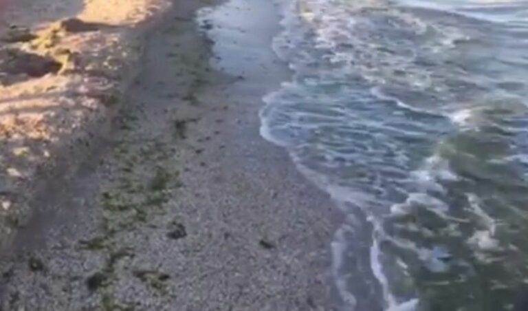 “Не вода, а букет болезней“: на курорте под Запорожьем базы отдыха сливают нечистоты в море и песок - today.ua