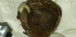 “Смертельно небезпечно навіть для тварин“: у мережі показали цукерки Roshen з черв'яками - today.ua