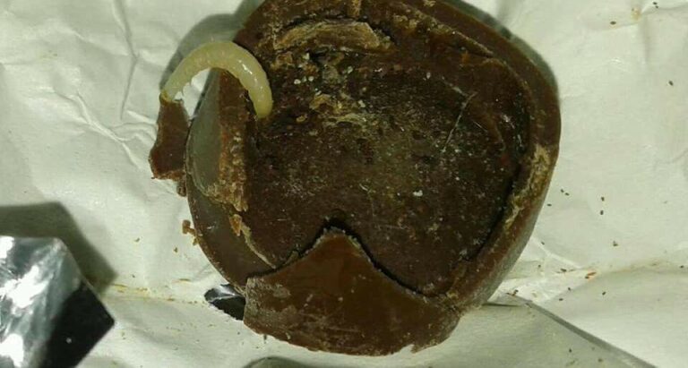 “Смертельно опасно даже для животных“: в сети показали конфеты Roshen с червяками - today.ua