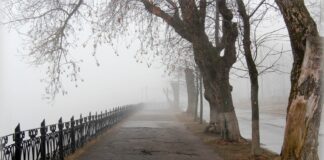 Туманы и похолодание: синоптики рассказали о погоде на неделю - today.ua