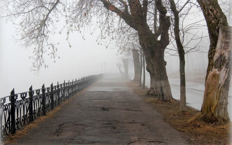 Тумани і похолодання: синоптики розповіли про погоду на тиждень - today.ua