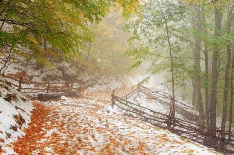 Українцям обіцяють мокрий сніг: прогноз погоди на 7 жовтня - today.ua