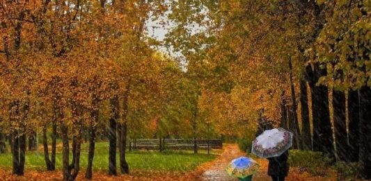 Погода зіпсує плани українців: свіжий прогноз синоптиків - today.ua