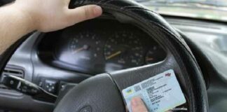 «Держава у смартфоні»: в Україні впроваджують е-посвідчення водія і техпаспорт  - today.ua