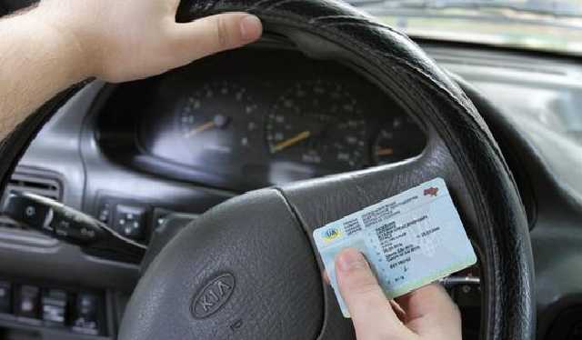 «Государство в смартфоне»: в Украине внедряют е-удостоверение водителя и техпаспорт  - today.ua