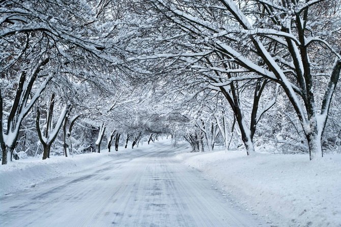 Прогноз погоды на выходные: украинцам обещают первый снег - today.ua