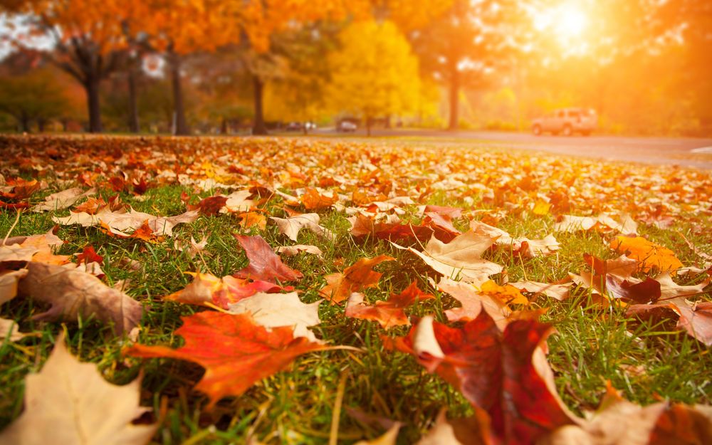 В Украину вернулось "апрельское" тепло: что ожидать от погоды в ближайшие дни