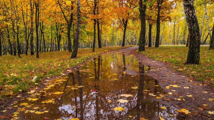 Погода на 15 листопада: синоптики розповіли, де пройдуть дощі - today.ua