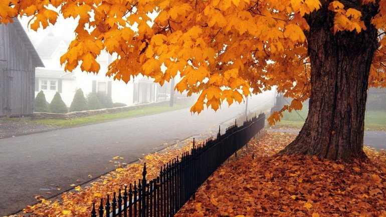 28 ноября: какой сегодня праздник и день ангела