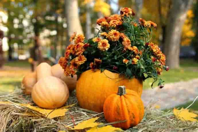 20 ноября: какой сегодня праздник и день ангела - today.ua