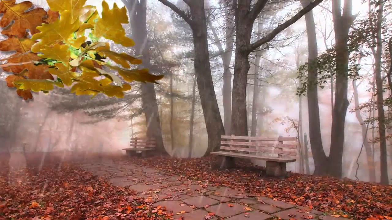 Прогноз погоды: Зима переносится - синоптики рассказали о погоде до конца недели