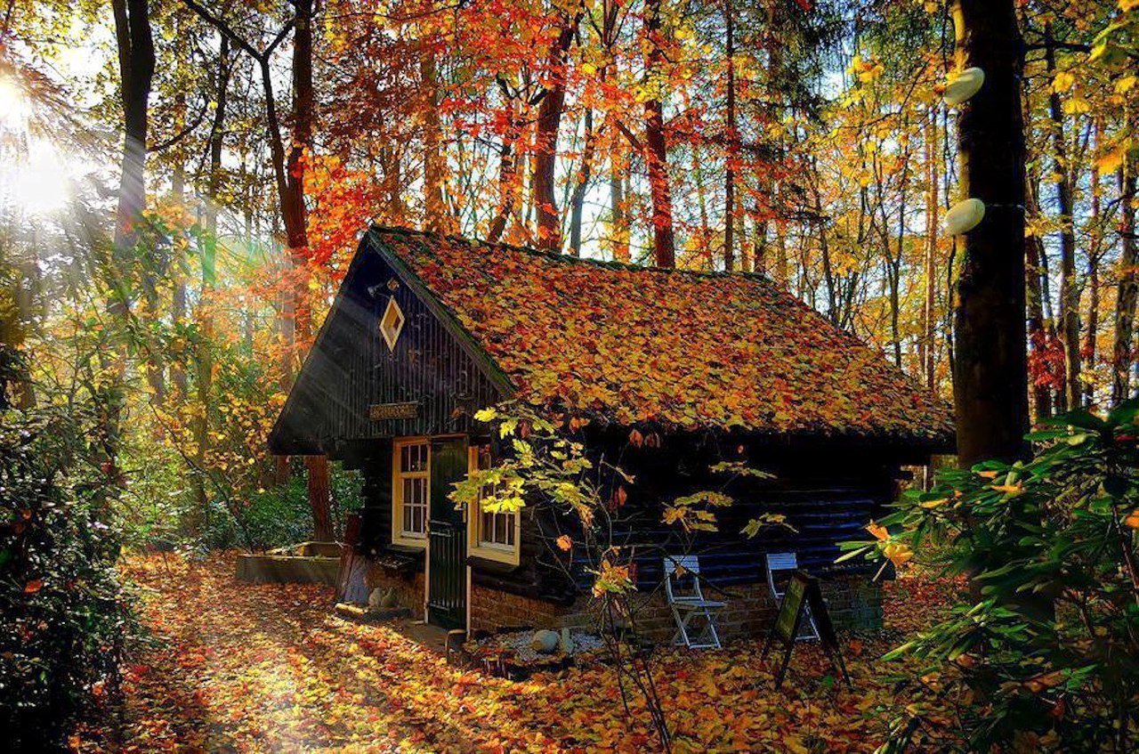 3 ноября: какой сегодня праздник и кто отмечает день ангела