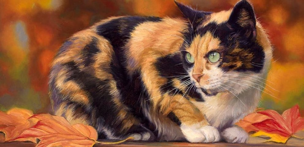 Яка порода кішок оберігає від пристріту і привертає благополуччя