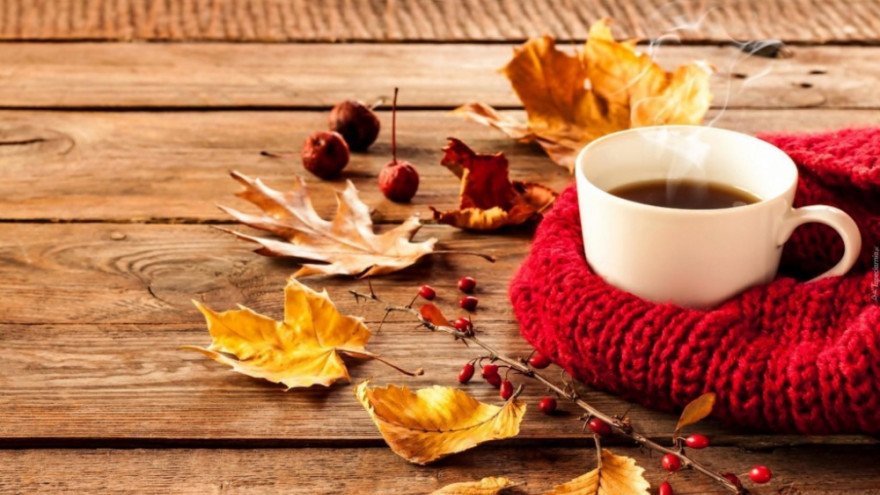 26 ноября: какой сегодня праздник