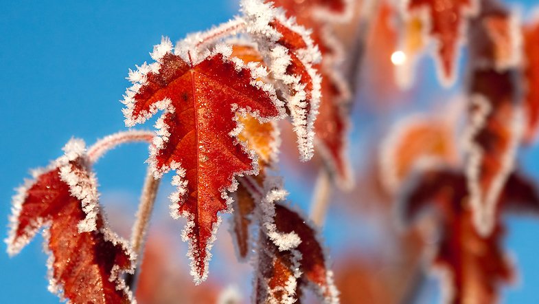 От -7 до +10: синоптики удивили прогнозом погоды на среду