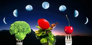 Схуднення за місячним календарем: дієта творить чудеса  - today.ua
