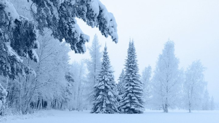 Аномальное потепление и дожди со снегом: синоптики удивили прогнозом на декабрь - today.ua