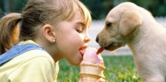 ТОП-3 породы собак, которые станут верными друзьями для детей - today.ua