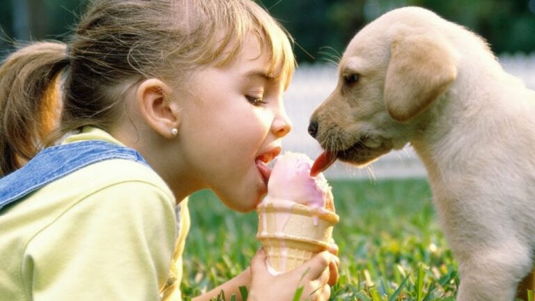 ТОП-3 породи собак, які стануть вірними друзями для дітей - today.ua