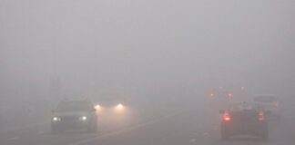 6 простих порад для безпечного водіння в туман - today.ua