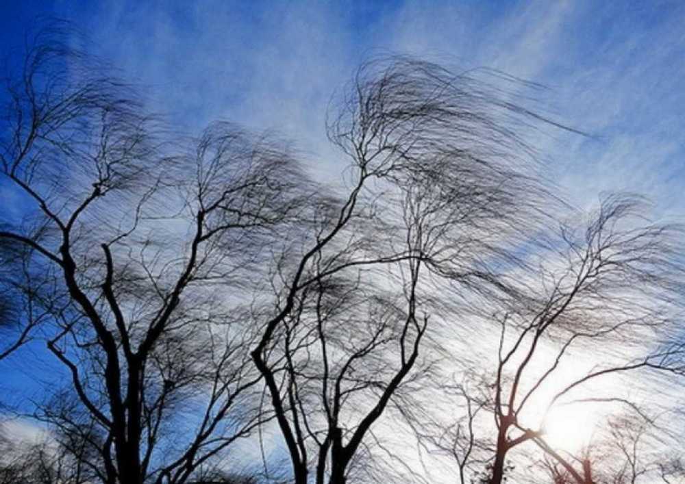 Штормовой ветер и дожди: синоптики дали прогноз на 3 ноября