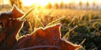 Без осадков, но с заморозками: синоптики дали прогноз на 17 ноября  - today.ua