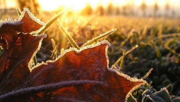 Без опадів, але з заморозками: синоптики дали прогноз на 17 листопада  - today.ua