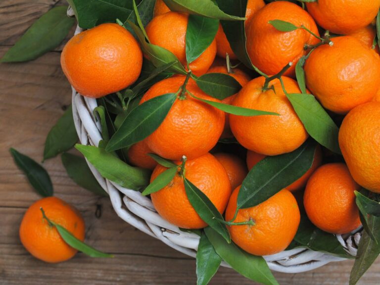 Новорічні ласощі: Комаровський розповів, скільки мандаринів можна їсти в день без шкоди для здоров'я - today.ua