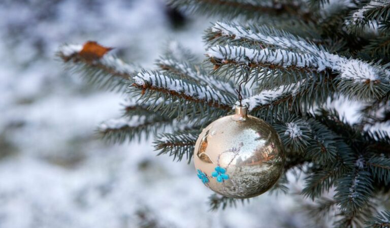 Снег, ветер и минусовая температура: синоптики уточнили прогноз погоды на Новый год - today.ua