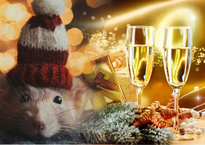 “Может обернуться против вас“: эзотерик назвал тосты, которые нельзя произносить в Новый год - today.ua