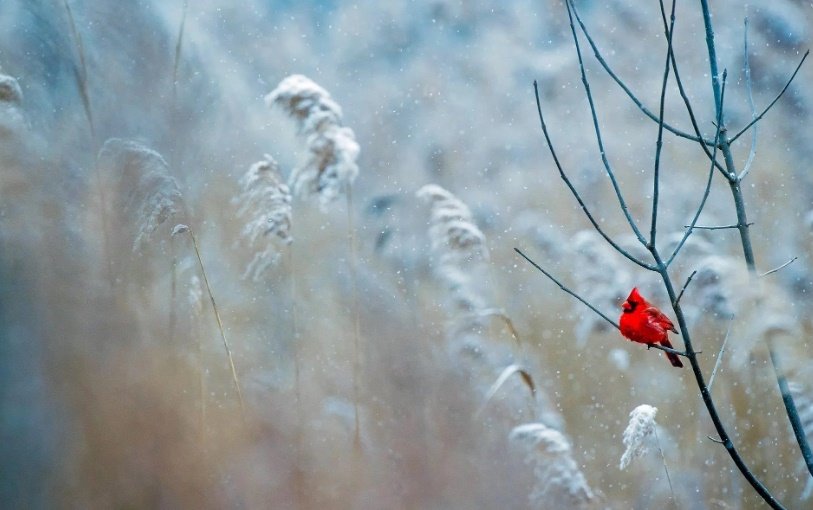 Погода на выходные: дожди и мокрый снег