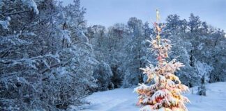 Погода на Новий рік: крижаний дощ і заморозки - синоптики засмутили прогнозом  - today.ua